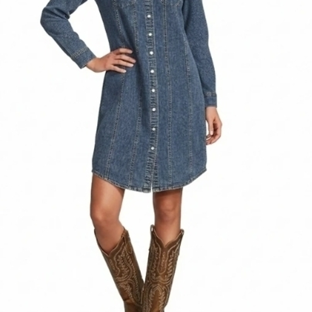 Reba Button-Front Denim Shirt Dress in Medium Blue